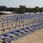 3f8637f1137a4af8a6858a74765e6635 150x150